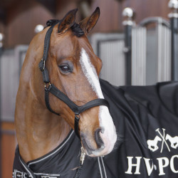 Licol HV Polo Essential Noir