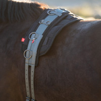 Surfaix de travail nylon Imperial Riding Deluxe Extra Rose multi-fleurs