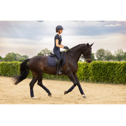 Collants d'equitation Euro-Star Flying Fundamental FullGri Bleu marine Collants d'equitation Euro-Star Flying Fundamental FullGri Bleu marine