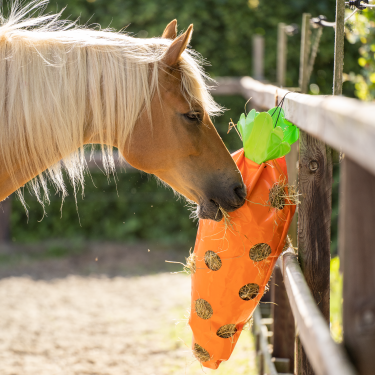 Sac à foin Imperial Riding Carrot Sac à foin Imperial Riding Carrot