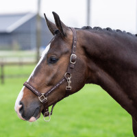 Licol HV Polo Nena Bleu marine Licol HV Polo Nena Bleu marine