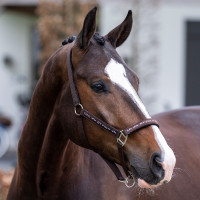 Licol HV Polo Nena Bleu marine Licol HV Polo Nena Bleu marine