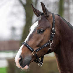 Licol HV Polo Nena Marine