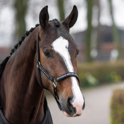 Licol HV Polo Nena Marine