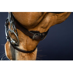 Bridon Cuir Plat Avec Mousquetons Working by Dy'on Noir