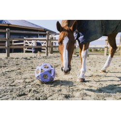 Balle de jeu / balle à foin Kentucky Lavande Violet