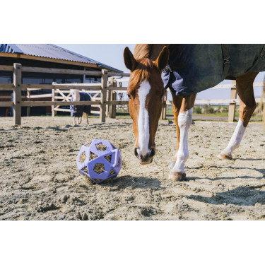 Balle de jeu / balle à foin Kentucky Balle de jeu / balle à foin Kentucky