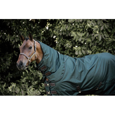 Couverture d'extérieur All Weather imperméable Pro Kentucky Vert foncé