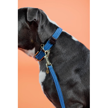 Laisse pour chien Plaited Nylon 200 cm Kentucky Laisse pour chien Plaited Nylon 200 cm Kentucky