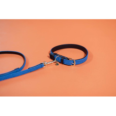 Laisse pour chien Plaited Nylon 200 cm Kentucky Laisse pour chien Plaited Nylon 200 cm Kentucky
