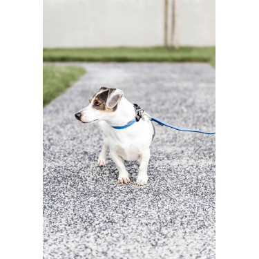 Laisse pour chien Plaited Nylon 200 cm Kentucky Laisse pour chien Plaited Nylon 200 cm Kentucky