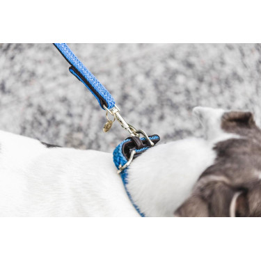 Laisse pour chien Plaited Nylon 200 cm Kentucky Laisse pour chien Plaited Nylon 200 cm Kentucky