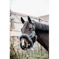 Têtière Licol de transport mouton Kentucky Gris