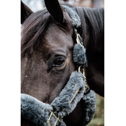 Têtière Licol de transport mouton Kentucky Gris