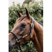 Têtière pour Licol Anatomique en cuir Kentucky Marron