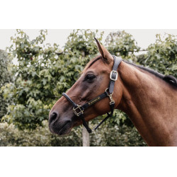 Têtière pour Licol Anatomique en cuir Kentucky Noir