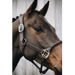 Têtière pour Licol Anatomique en cuir Kentucky Marron