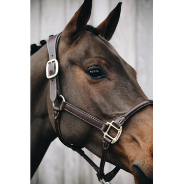 Têtière pour Licol Anatomique en cuir Kentucky Têtière pour Licol Anatomique en cuir Kentucky