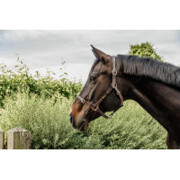 Têtière pour Licol Flexible Kentucky Marron