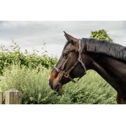 Têtière pour Licol Flexible Kentucky Marron Têtière pour Licol Flexible Kentucky Marron