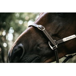Têtière pour Licol Flexible Kentucky Marron Têtière pour Licol Flexible Kentucky Marron