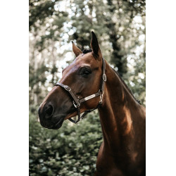 Têtière pour Licol Flexible Kentucky Marron Têtière pour Licol Flexible Kentucky Marron
