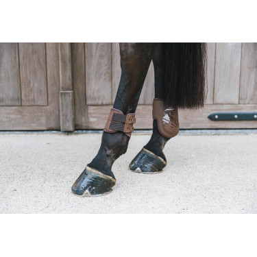 Protège-boulet élastique Kentucky Marron