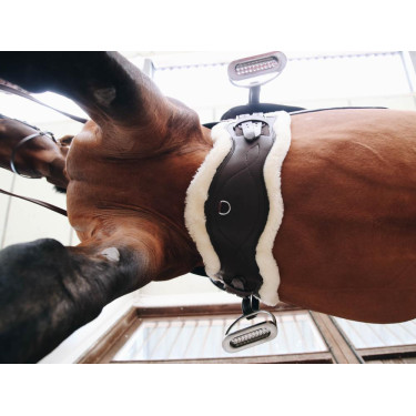 Mouton amovible pour Sangle Anatomique courte Kentucky Mouton amovible pour Sangle Anatomique courte Kentucky
