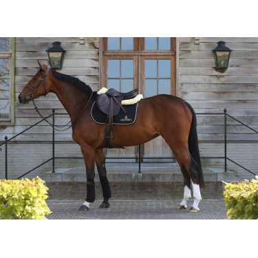 Tapis de selle sans logo Kentucky Tapis de selle sans logo Kentucky