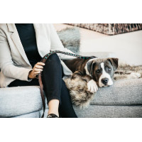 Laisse pour chien en Perles faites-main Kentucky Bleu clair Laisse pour chien en Perles faites-main Kentucky Bleu clair