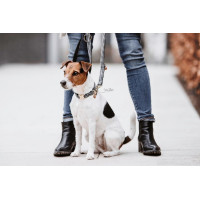 Laisse pour chien Pie-de-poule Kentucky Noir