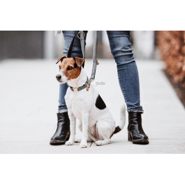 Laisse pour chien Pie-de-poule Kentucky Laisse pour chien Pie-de-poule Kentucky