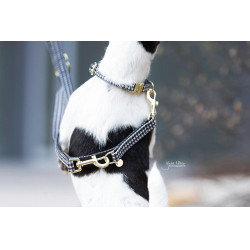 Laisse pour chien Pie-de-poule Kentucky Noir Laisse pour chien Pie-de-poule Kentucky Noir