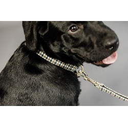 Laisse pour chien Pie-de-poule Kentucky
