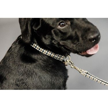 Laisse pour chien Pie-de-poule Kentucky Laisse pour chien Pie-de-poule Kentucky