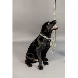 Laisse pour chien Pie-de-poule Kentucky Brun Marron Laisse pour chien Pie-de-poule Kentucky Brun Marron