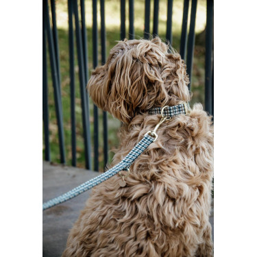 Laisse pour chien Pie-de-poule Kentucky Laisse pour chien Pie-de-poule Kentucky