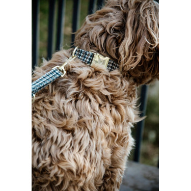 Laisse pour chien Pie-de-poule Kentucky Laisse pour chien Pie-de-poule Kentucky