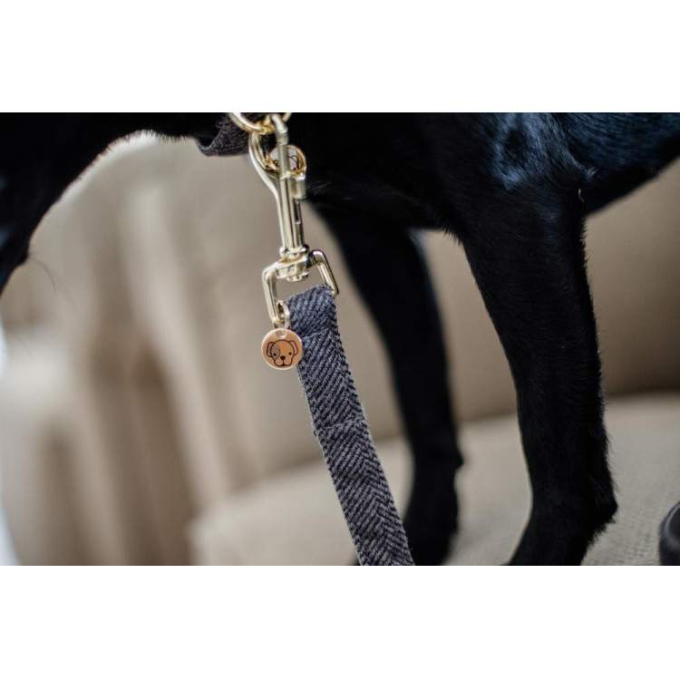 Laisse pour chien Wool Longue Kentucky Laisse pour chien Wool Longue Kentucky