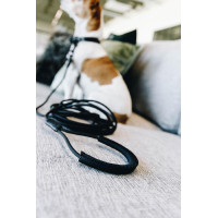 Laisse Soft Rubber Kentucky Noir