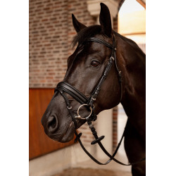 Bridon de dressage Horze Eternal Gaze Noir Bridon de dressage Horze Eternal Gaze Noir