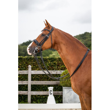 Bride Dy'on collection dressage cuir plat Muserolle Large Vernie Bride Dy'on collection dressage cuir plat Muserolle Large Vernie