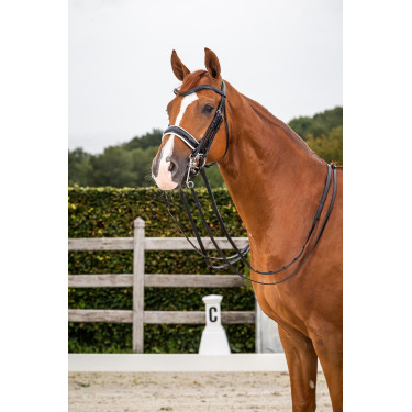 Bride Dy'on collection dressage cuir plat Muserolle Large Vernie Doublure Blanche Bride Dy'on collection dressage cuir plat Muserolle Large Vernie Doublure Blanche