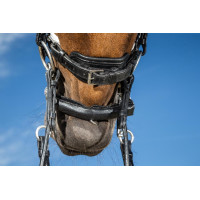 Bride Dy'on collection dressage cuir plat Muserolle Large Vernie Doublure Blanche Noir Bride Dy'on collection dressage cuir plat Muserolle Large Vernie Doublure Blanche Noir