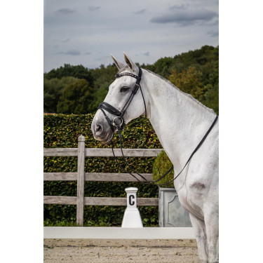 Bridon Dy'on collection dressage cuir rond Muserolle Combinée Large Bridon Dy'on collection dressage cuir rond Muserolle Combinée Large
