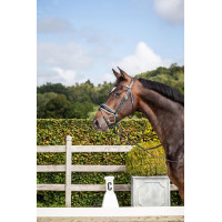 Bridon Dy'on collection dressage cuir plat Muserolle Combinée Large Vernie Doublure Blanche Noir