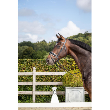 Bridon Dy'on collection dressage cuir plat Muserolle Combinée Large Vernie Doublure Blanche Bridon Dy'on collection dressage cuir plat Muserolle Combinée Large Vernie Doublure Blanche