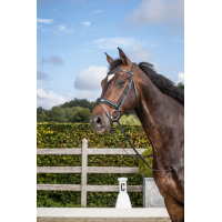 Bridon Dy'on collection dressage cuir plat Muserolle Combinée Moyenne avec Pull-Back Noir