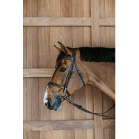 Bridon Working by Dy'on muserolle combinée avec mousquetons Marron