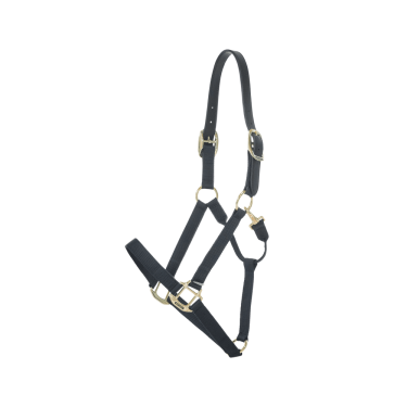 Licol en Nylon Breakaway Kentucky Licol en Nylon Breakaway Kentucky